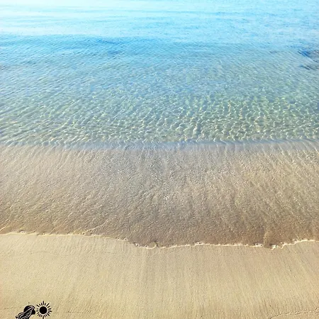 Il Bacio Del Sole - S. Isidoro